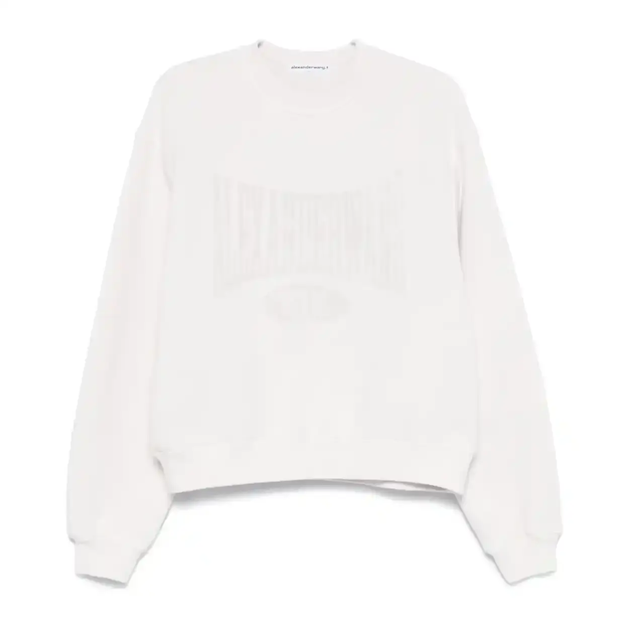 Alexander Wang 仿旧logo卫衣