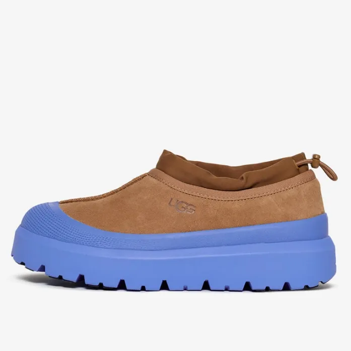 UGG Tasman Weather Hybrid 棉鞋