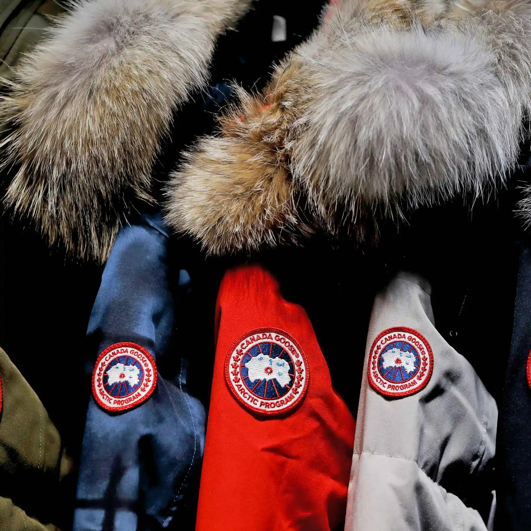 Gilt：Canada Goose 加拿大鹅上新 女士羽绒马甲、夹克等