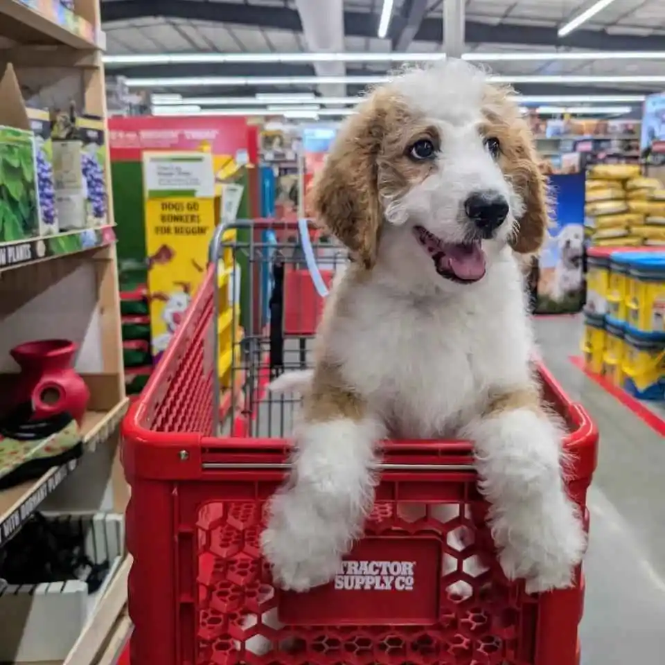 Tractor Supply：百货热卖 每周精选上新