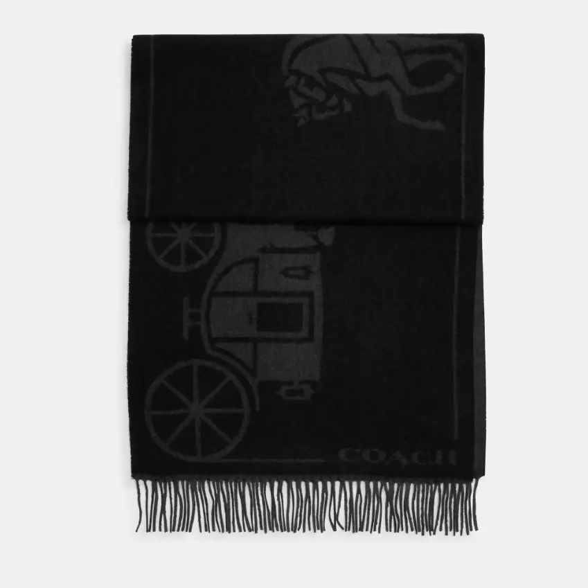 Coach 蔻驰马车纹围巾