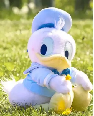 Disney  Donald Duck 玩偶 10 1/4'' – 日本款