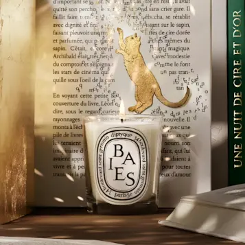 Diptyque UK：全场香氛&身体护理热卖