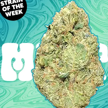 Pinnacle Hemp Mintz THCA Flower 混合型雪茄