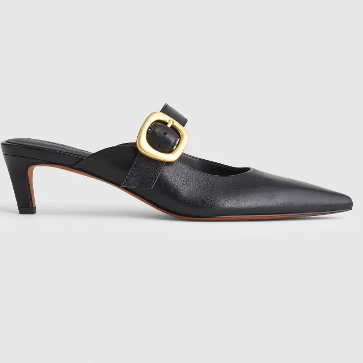 Madewell 尖头小高跟单鞋