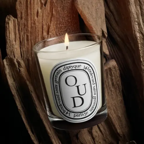 1月上新！Diptyque 蒂普提克 乌木香熏蜡烛