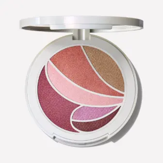 MAC 魅可2026春季限定多功能6色眼影盘