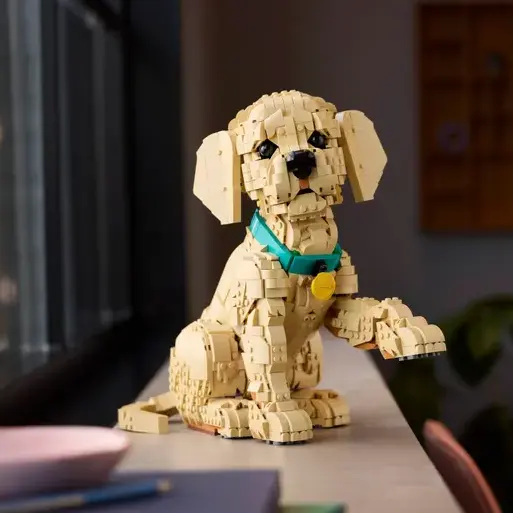 预售！Lego 11384 金毛幼犬 | ICONS
