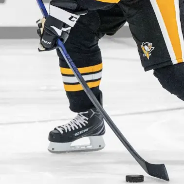 HockeyMonkey：冰球杆、棒球杆限时特惠