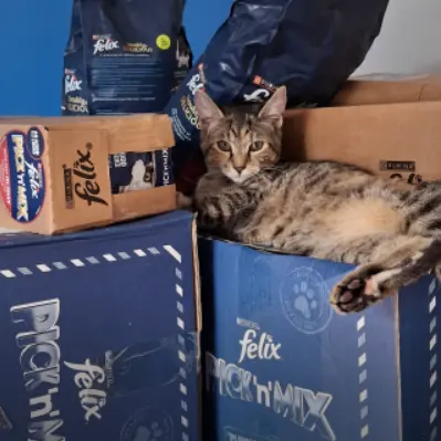 Purina UK：母亲节特意！全场满£50立减£10