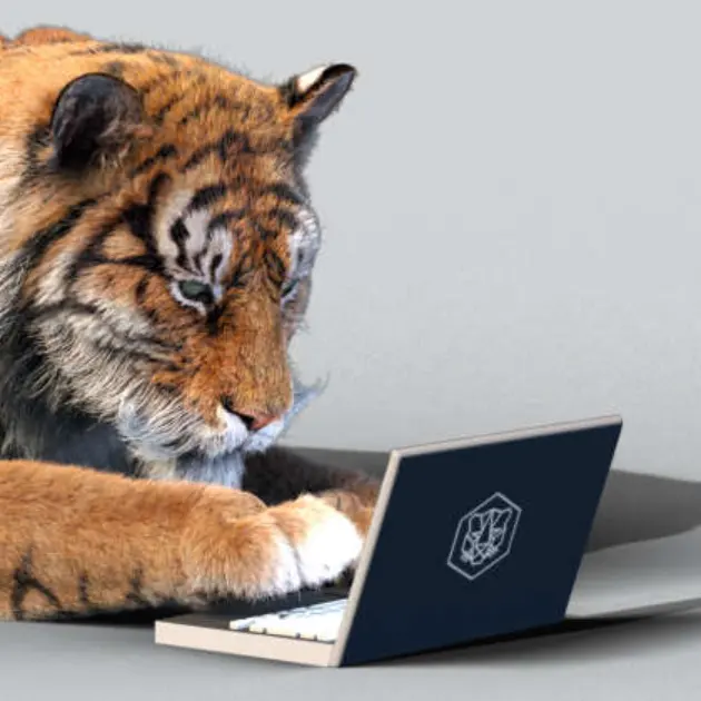 Tiger Sheds：精选额外9折