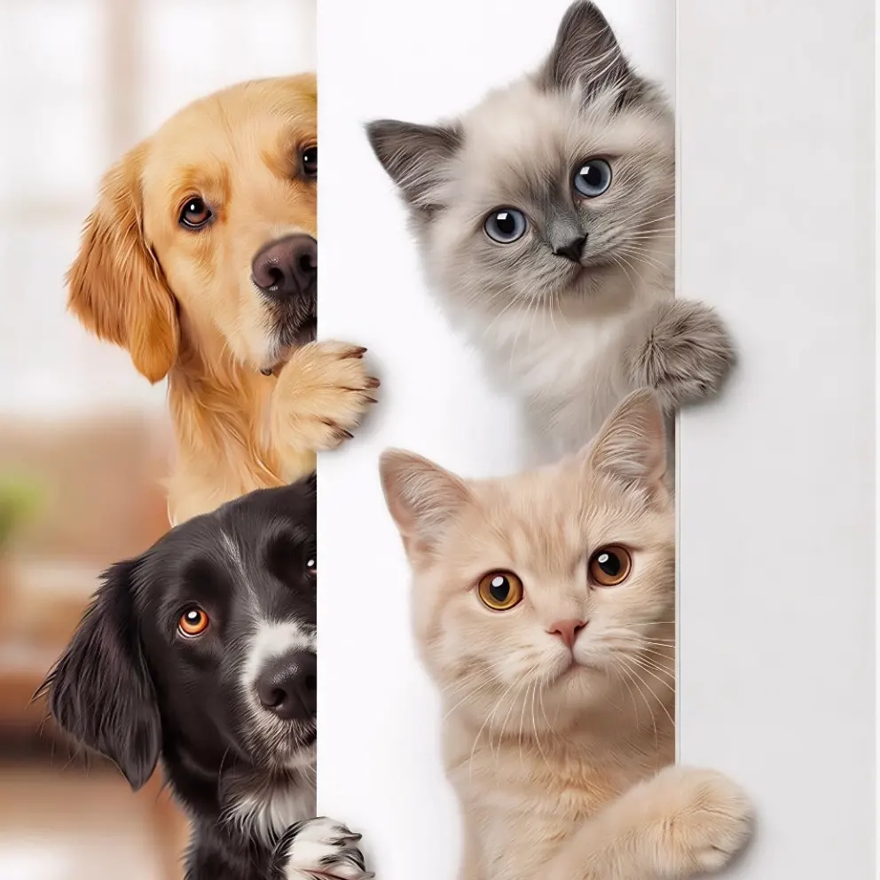 LOCKLY：守护每一次归家，呵护每一只宠物的安心与陪伴