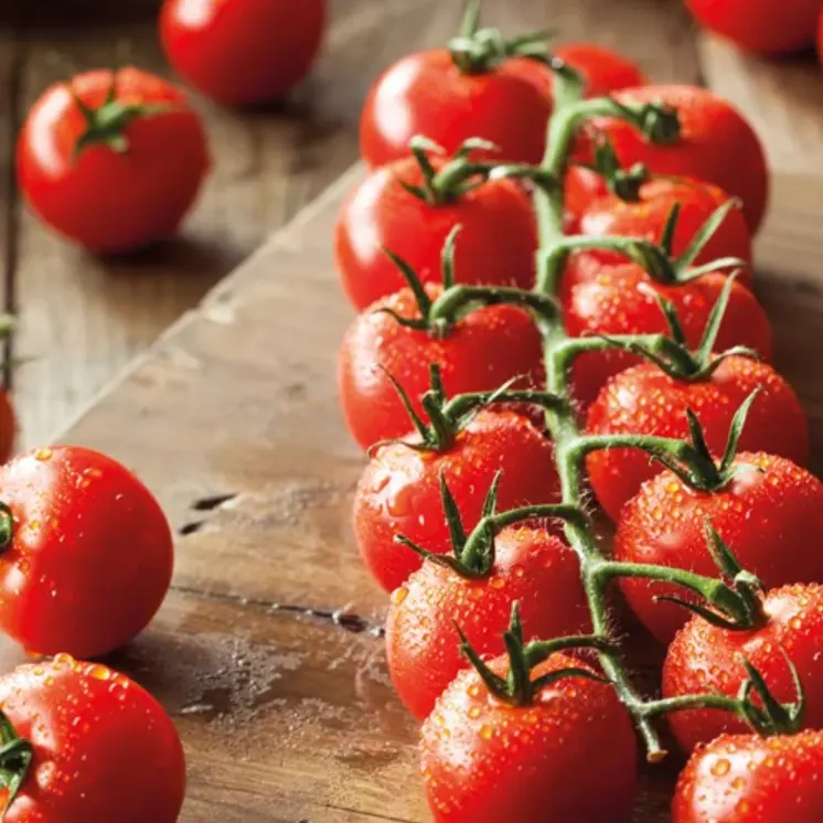 Dobies：园艺植物、球茎及园艺必需品清仓特卖