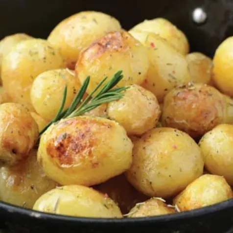 Dobies：4月植物优惠