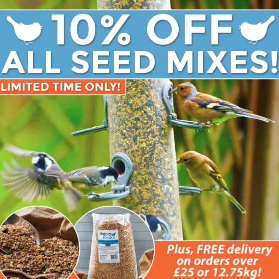 Happy Beaks：鸟食混合粮及多重优惠
