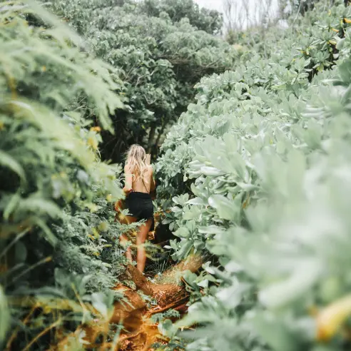 Brondell：健康生态系统促销！地球月种树赠礼