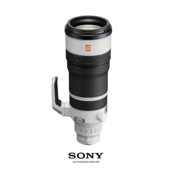 Sony 索尼 FE 100-400mm f/4.5 GM OSS 镜头