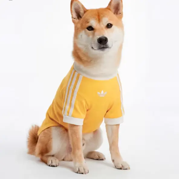 adidas 阿迪达斯 宠物T恤