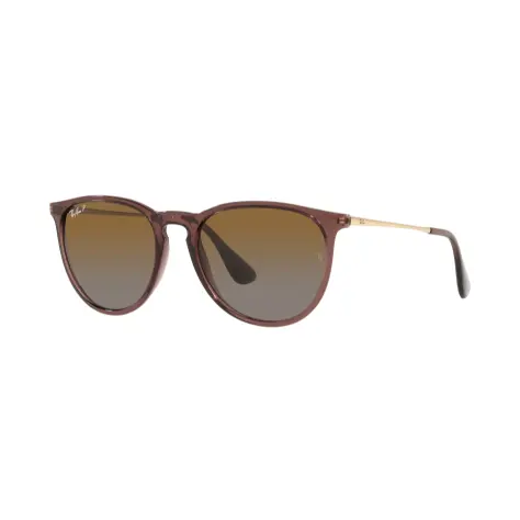 Ray-Ban 雷朋 Erika 经典偏光太阳镜