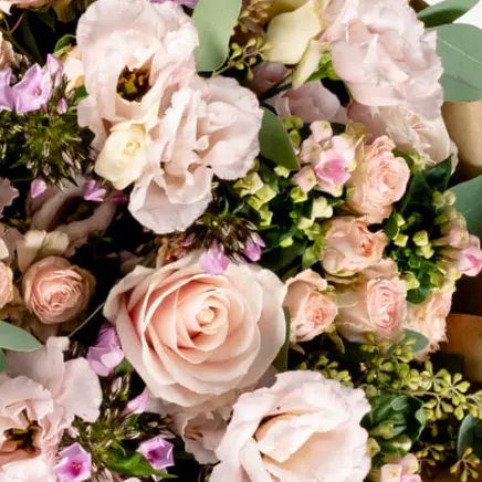 Bloom：英伦环保鲜花！季节限定花束、信箱便携花、绿植花瓶