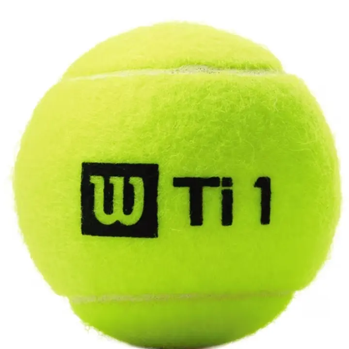 Wilson Titanium 网球 3只装