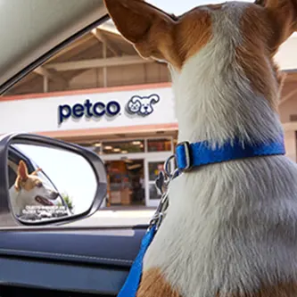 Petco：线上买门店取 宠物用品促销
