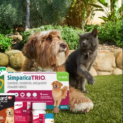 Petco：处方药自动配送首单特惠