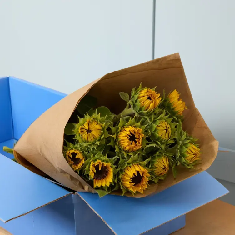 Arena Flowers：向日葵特惠 送礼指南