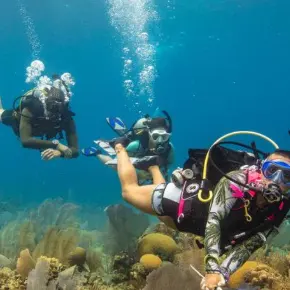 PADI：潜水认证卡特惠