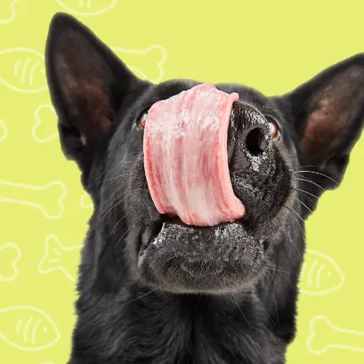 Petco：犬类零食&咬胶热卖！囤货好时机