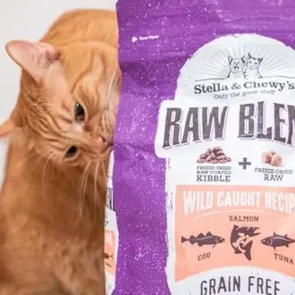 Chewy：美国顶级宠物食品品牌！Stella & Chewy's猫粮特惠