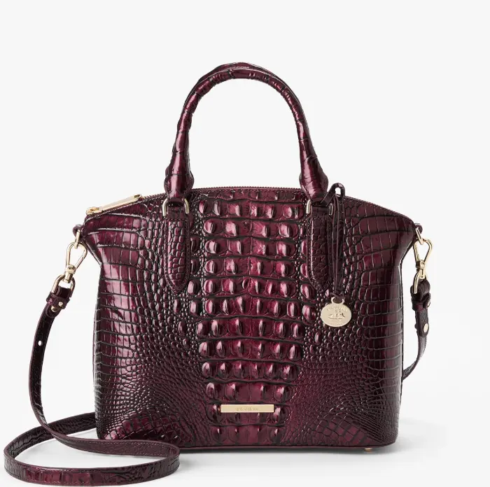 Brahmin Duxbury 手提包