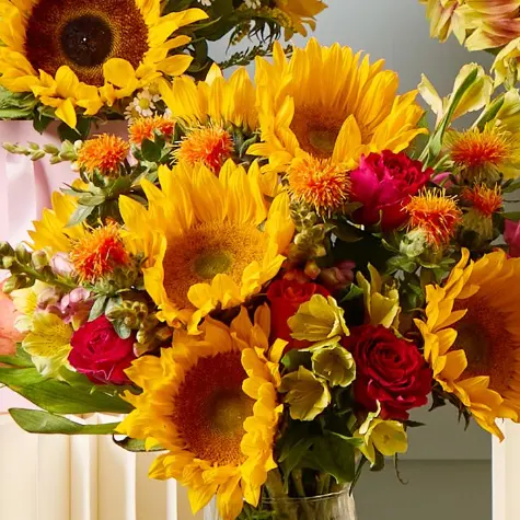 Arena Flowers：早秋银行假日特惠