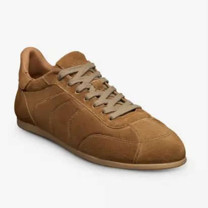 Allen Edmonds Aidan 运动鞋
