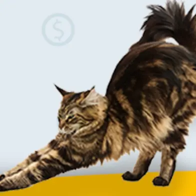 Pet Supermarket：万圣节精选猫咪好物特惠