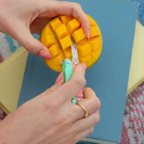 Leatherman：母亲节礼品指南精选特惠