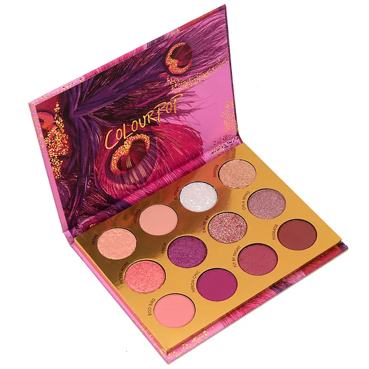 Colourpop 官网 十二色眼影盘 bye bye birdie