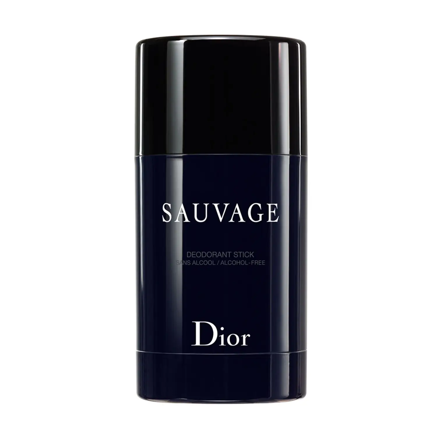 Dior 迪奥 旷野男士止汗膏