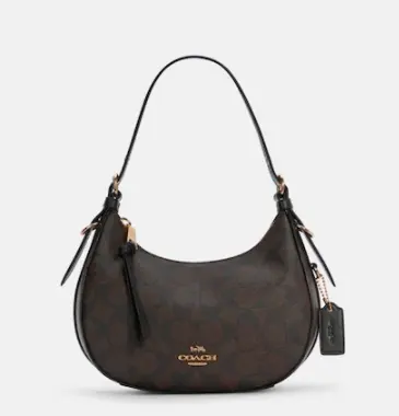 Coach Kleo Hobo Bag