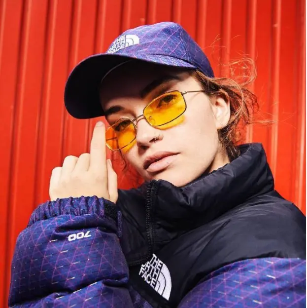 Backcountry：The North Face 北脸1996羽绒服专场 部分款参与折扣