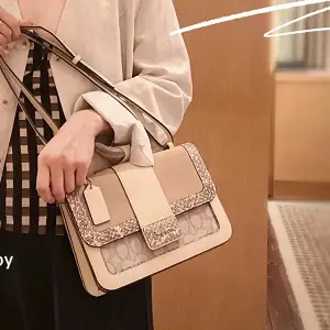 Coach蔻驰 Alie 蛇纹拼色斜挎包