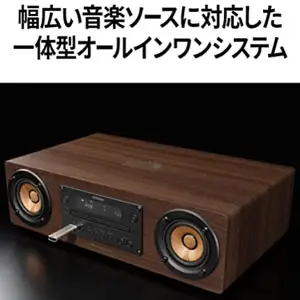 VC 杰伟世 Victor Wood Cone系列 EX-D6 多媒体蓝牙播放器