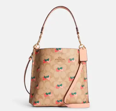 Coach蔻驰Mollie 22草莓老花水桶包