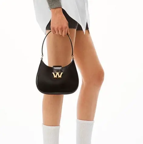 alexander wang 大王低至3折
