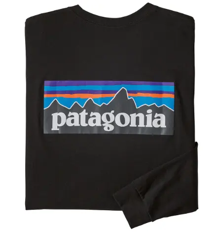 Patagonia P-6 背后山峰LOGO 男士长袖T恤