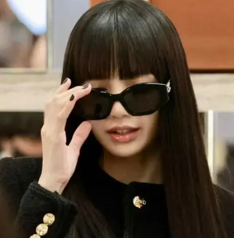 补货！Lisa同款Celine黑色凯旋门墨镜