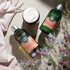 L'Occitane 欧舒丹 5合1草本修护洗发水 300ml