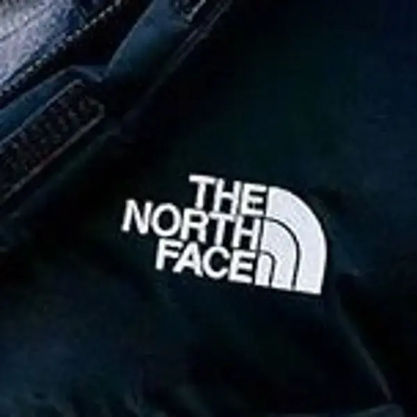 LVR 澳站：THE NORTH FACE 北面上新 入手 GORE-TEX 羽绒服
