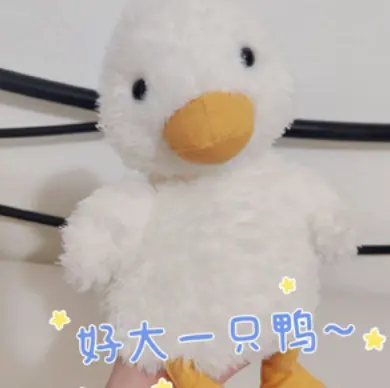 Jellycat Dory Duck 多莉鸭玩偶
