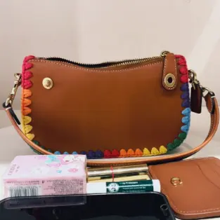 史低价！Coach 寇驰 Swinger20 彩色编织腋下包